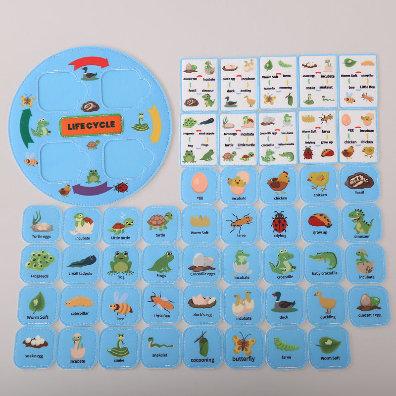 Portable Felt Activity Learning Life Cycle of Animals