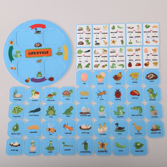 Portable Felt Activity Learning Life Cycle of Animals - HAPPY GUMNUT