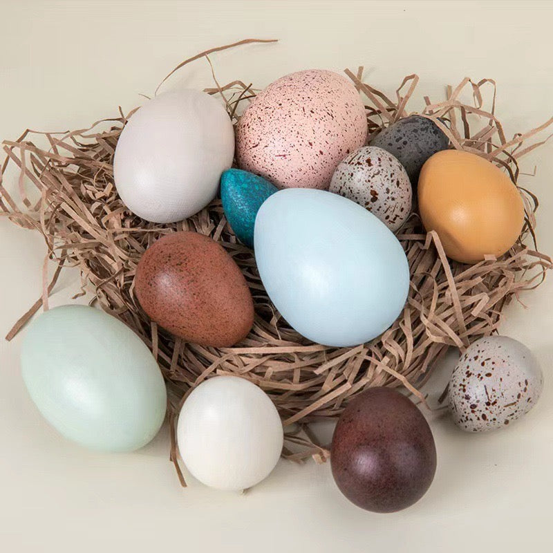 Wooden Eggs Bird Eggs