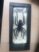Jumbo Insect Animal Spider Gold Fish Tarantula Beetle Butterfly Turtle ...
