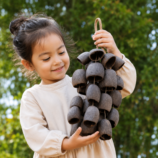 Natural Salin Seed Pod Shell Shaker – Wooden Seed Pod Sensory Sound music Percussion toy for Kids - HAPPY GUMNUT