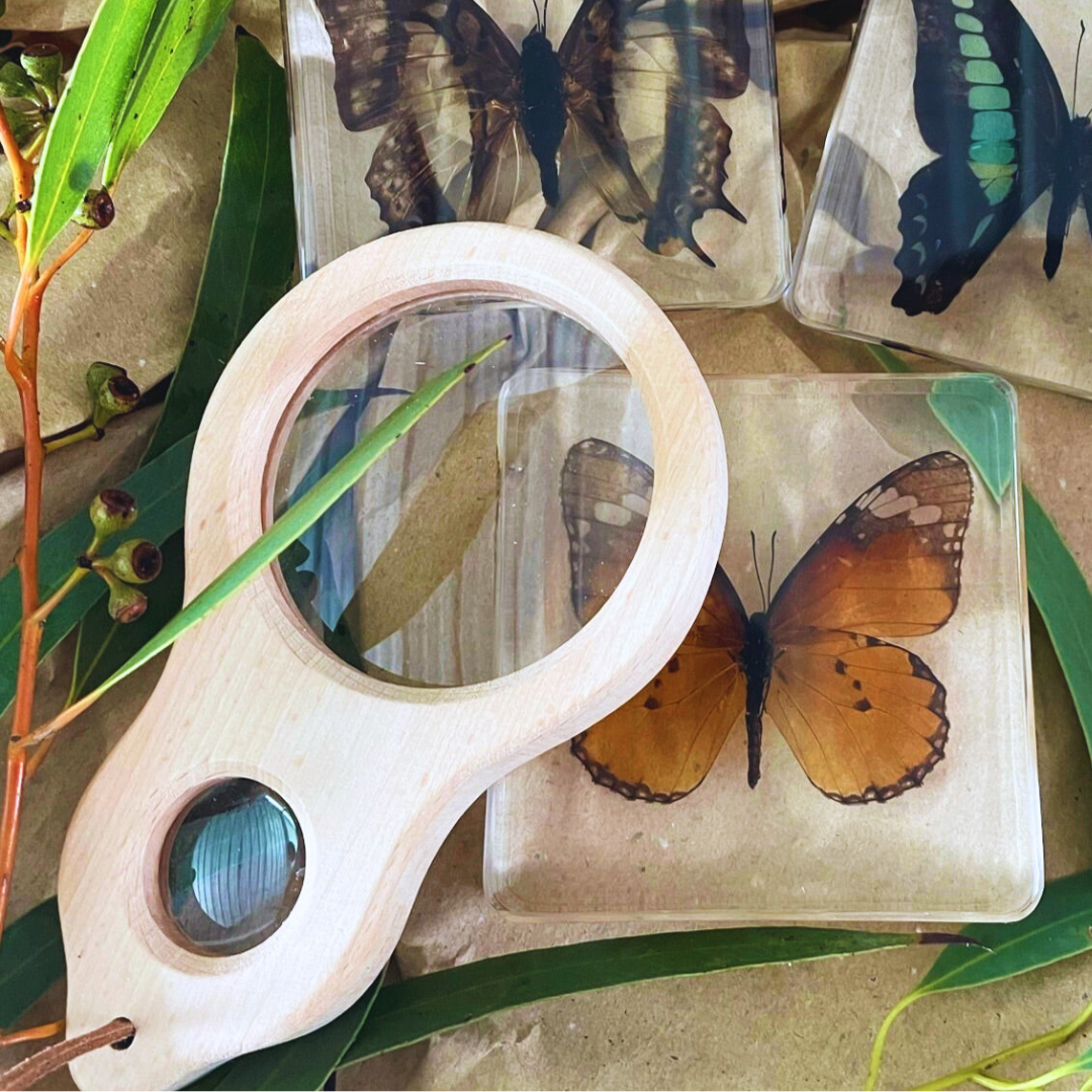 Dual Magnifier Glass Sensory Tools Outdoor Wooden Magnifying Glass