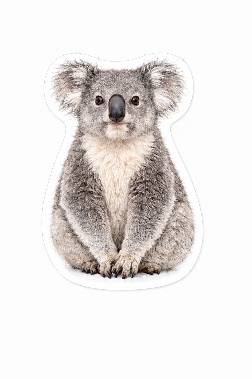 Sensory Plush Stuffed Cushion of Aussie Animals Set of 9 - HAPPY GUMNUT