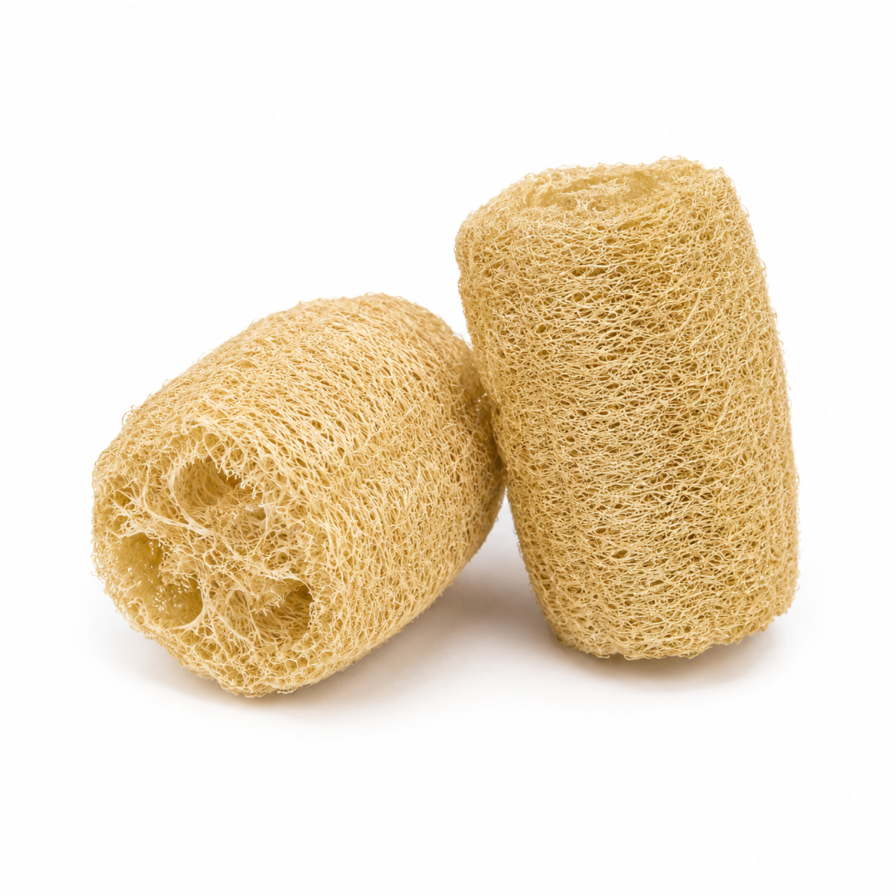 Australian Seed Pod Collection - Natural Loose Parts Montessori & Childcare Resource banksia, gumnut, seeds, Pine corns for Loose part Play - HAPPY GUMNUT