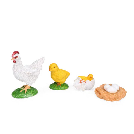 Chicken Life Cycle Toy  of Hens Life Expectancy Model Figurines