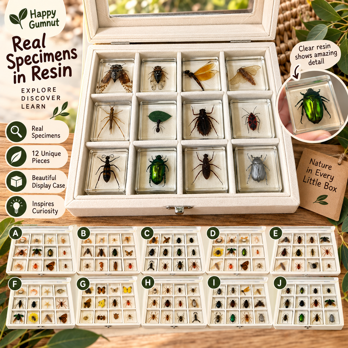 12 Animal Specimen Resin Epoxy Gift Set - HAPPY GUMNUT