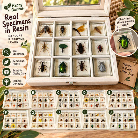12 Animal Specimen Resin Epoxy Gift Set
