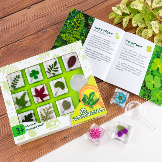 Animals Insect Resin Epoxy Specimens 10 Leaves and Fauna GIFT pack B With Guide Book and Magnifying Glass