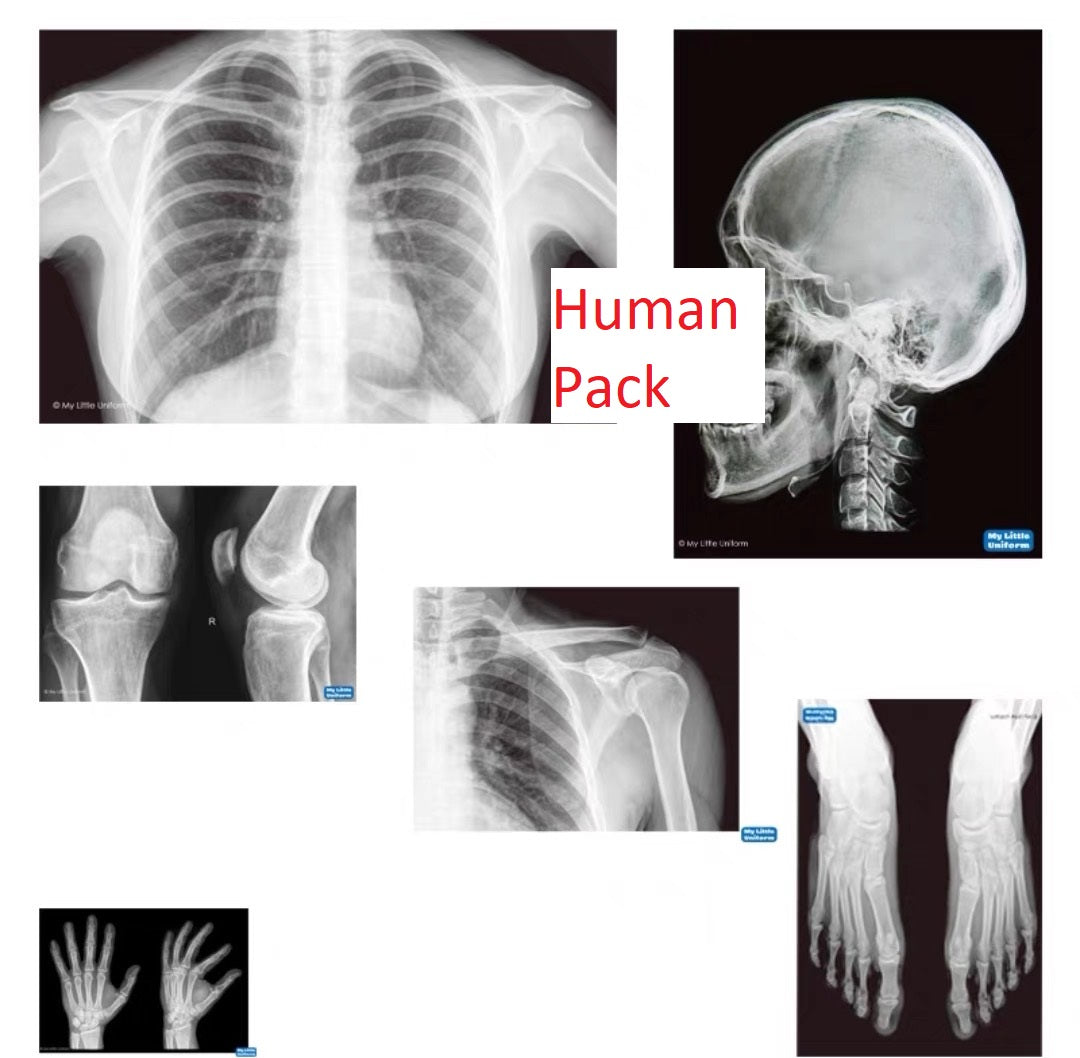 Educational Animal Human X Ray Images Animals OR Anatomy Bone Picture Packs You Choose!