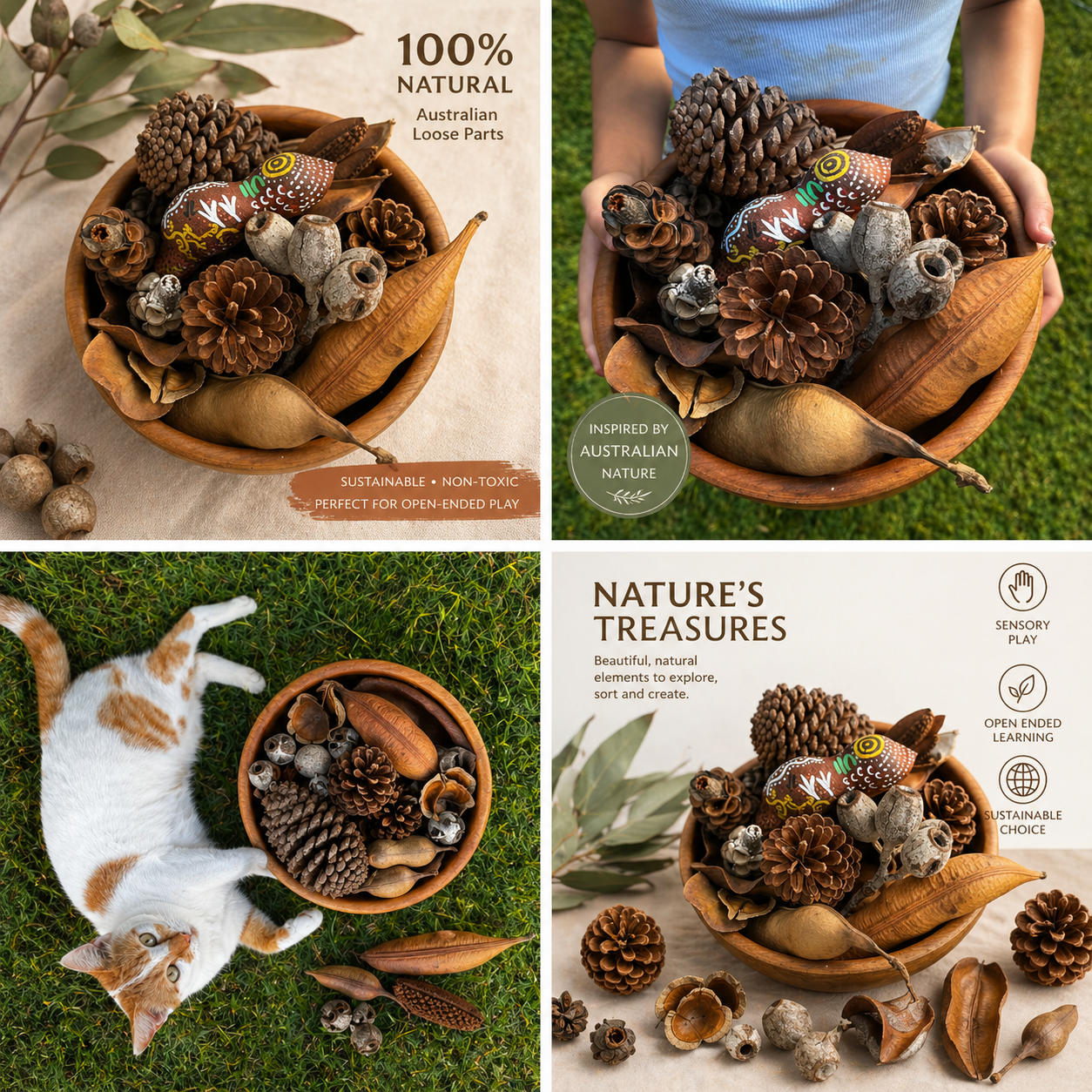 Australian Seed Pod Collection - Natural Loose Parts Montessori & Childcare Resource banksia, gumnut, seeds, Pine corns for Loose part Play - HAPPY GUMNUT