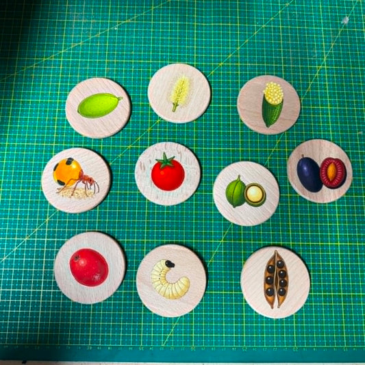 Australian Aboriginal NAIDOC Week Bush Tucker Food Wooden Learning Discs