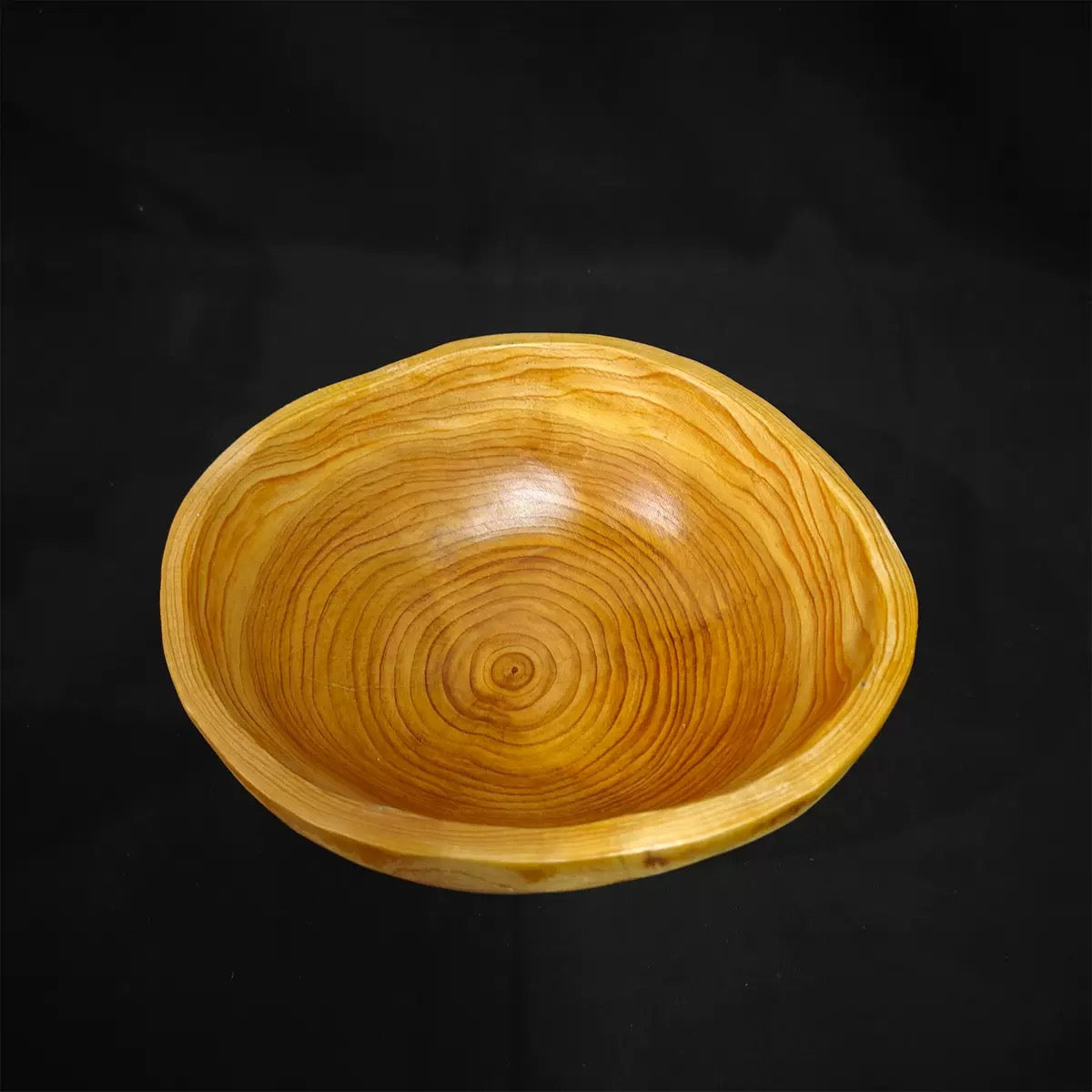 Australian Seed Pod Collection - Natural Loose Parts Montessori & Childcare Resource banksia, gumnut, seeds, Pine corns for Loose part Play - HAPPY GUMNUT