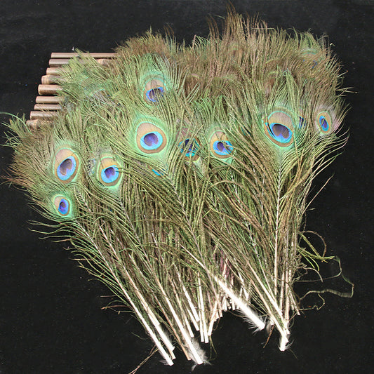 Large Natural Peacock Tail Eye Feathers 20-35cm Pack of 5