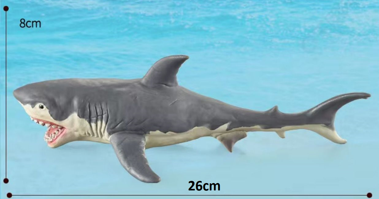 Large 12 Whales Animals Marine Ocean Mammals Big Model Figures