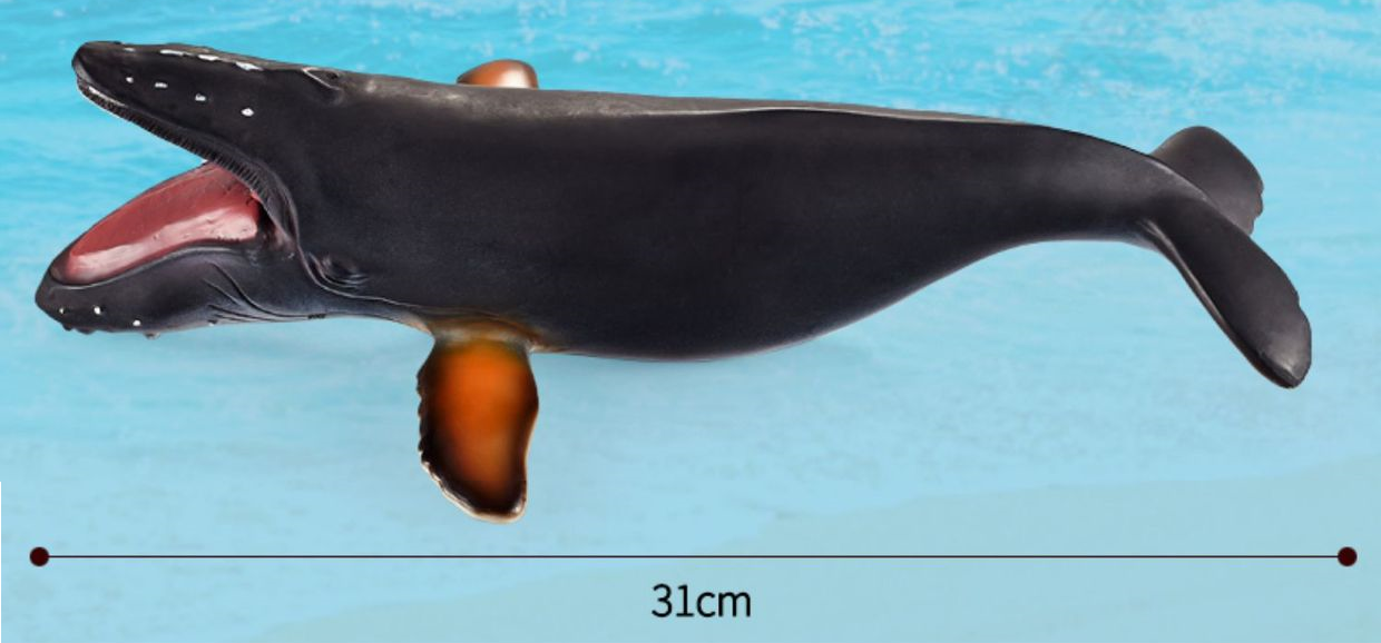 Large 12 Whales Animals Marine Ocean Mammals Big Model Figures