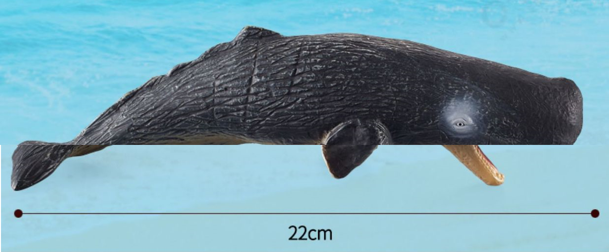 Large 12 Whales Animals Marine Ocean Mammals Big Model Figures