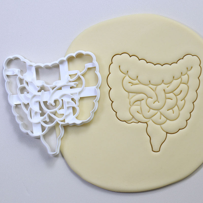 Cookie Play Dough Shape Stencil Human Organs Pack