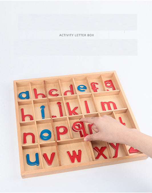Basic Montessori Moveable Alphabet 26 set or Tray you decide!