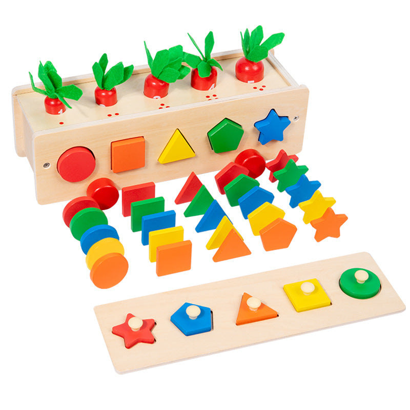 5 in 1 Classifcation Colour Shape Sorting Box Montessori inspired Kids Wooden Toy