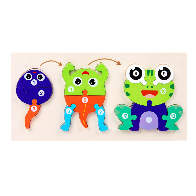 Life Cycle Progression Puzzle Butterfly OR Dinosaur Puzzle - HAPPY GUMNUT