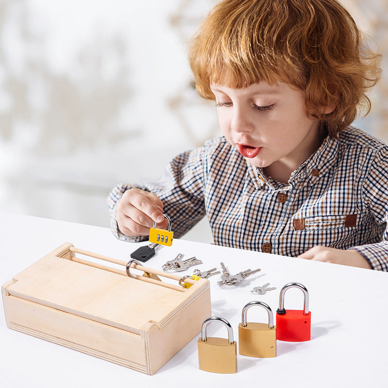 Montessori Lock Pick Set with Carry Storage Case
