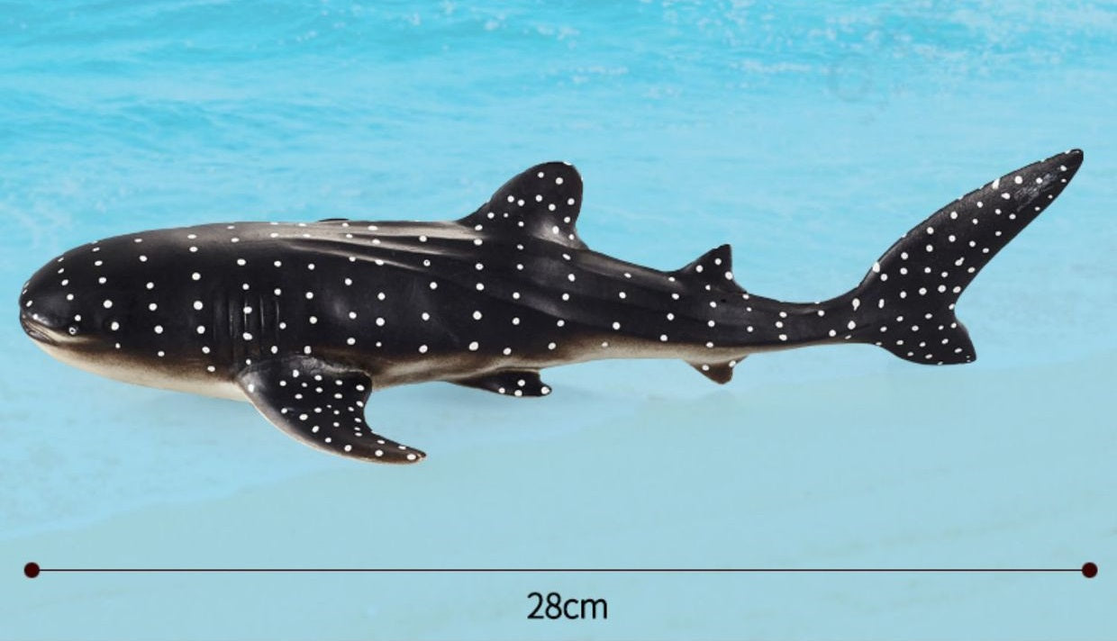 Large 12 Whales Animals Marine Ocean Mammals Big Model Figures