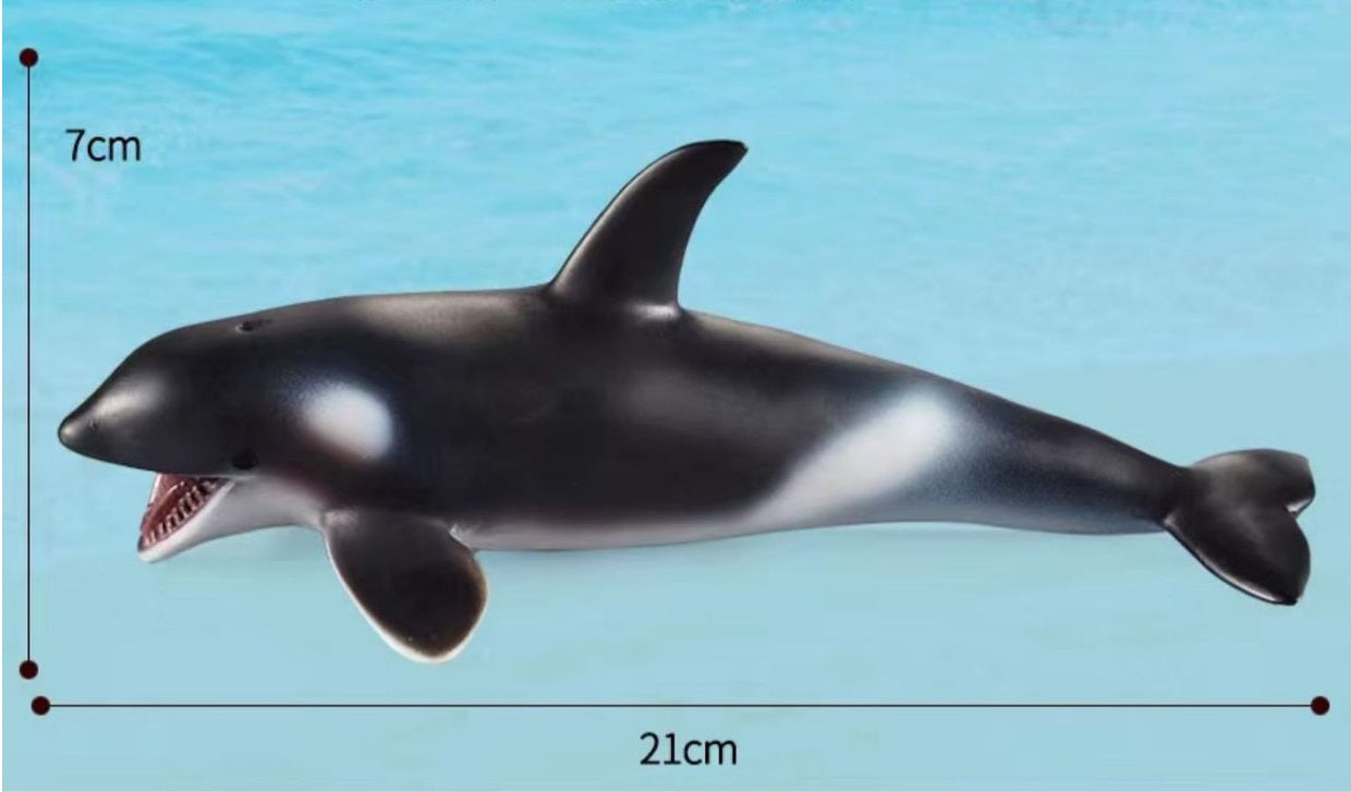 Large 12 Whales Animals Marine Ocean Mammals Big Model Figures