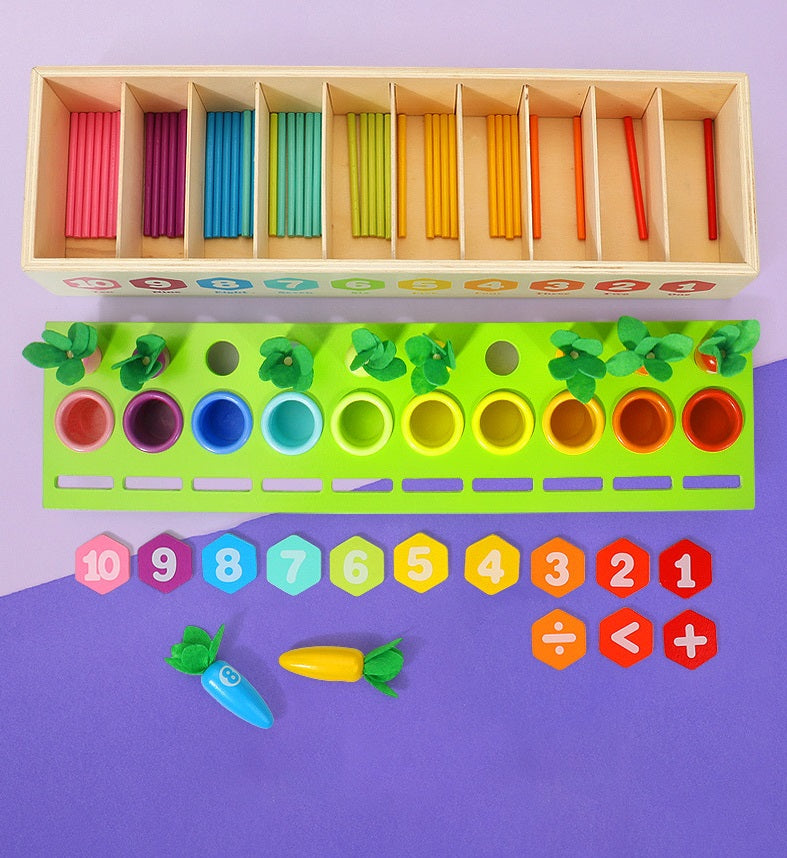 Montessori Multi Activities Counting Carrots Shape Sorting Box Toddler Fine Motor Skill  Wooden Toy - HAPPY GUMNUT