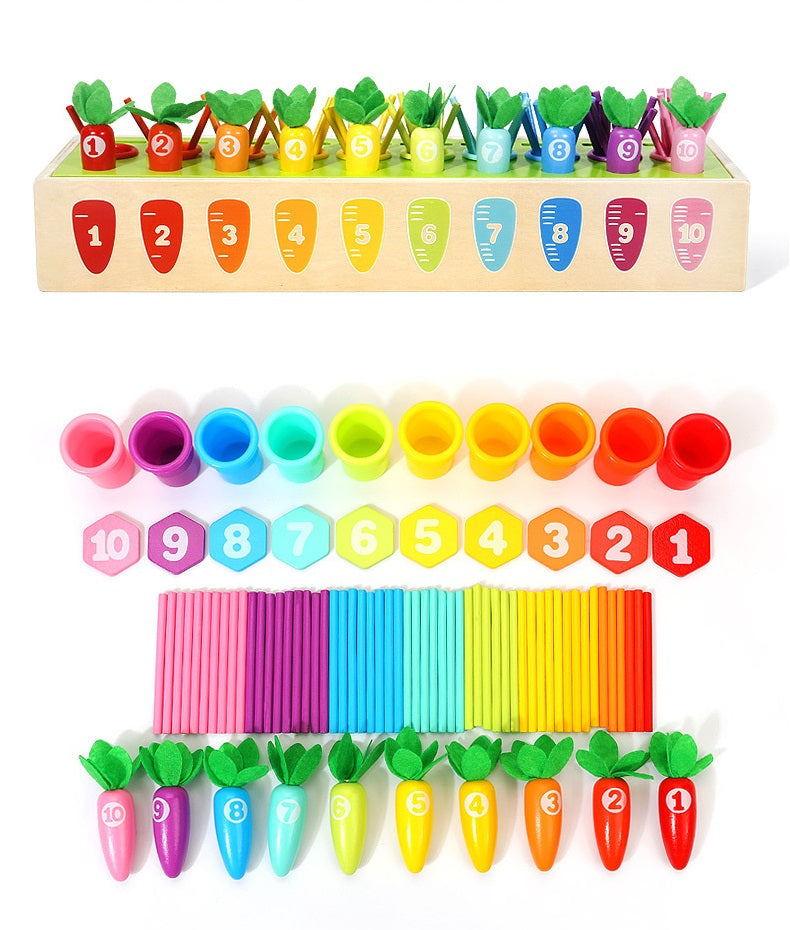 Montessori Multi Activities Counting Carrots Shape Sorting Box Toddler Fine Motor Skill  Wooden Toy - HAPPY GUMNUT