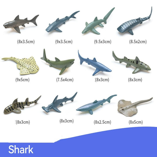 Marine Sharks PVC Model Figures Set of 12  Educational Teaching Toy