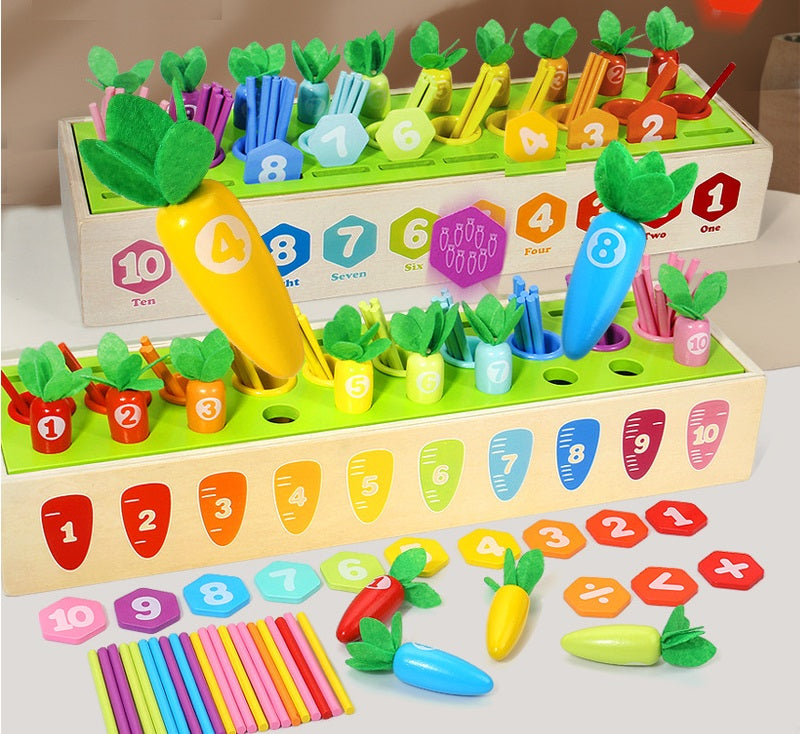 Montessori Multi Activities Counting Carrots Shape Sorting Box Toddler Fine Motor Skill  Wooden Toy - HAPPY GUMNUT
