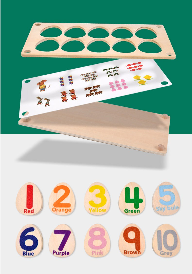 Montessori Wooden Egg Colour Sorting Puzzle With Interchangeable Tray Activity with flash cards - HAPPY GUMNUT