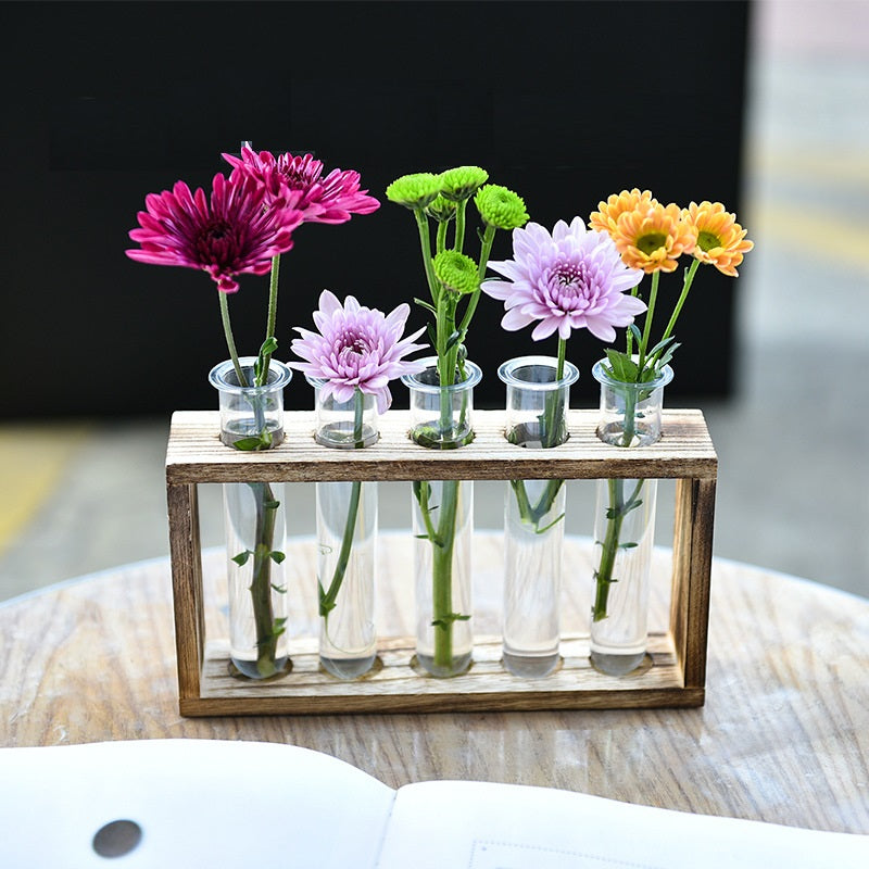 Test Tube hydroponics Science Learning Apparatus / Decor