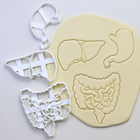 Cookie Play Dough Shape Stencil Human Organs Pack