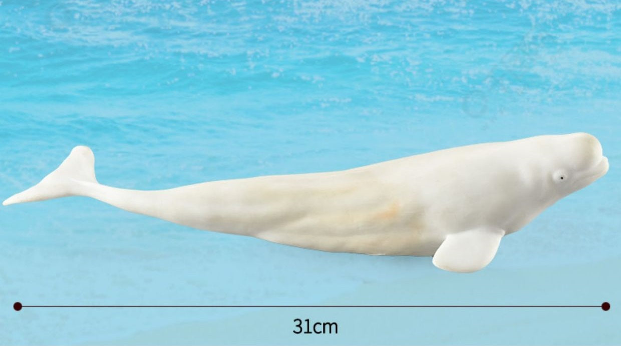 Large 12 Whales Animals Marine Ocean Mammals Big Model Figures