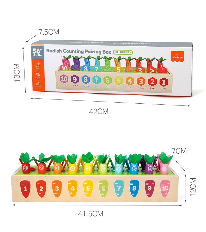 Montessori Multi Activities Counting Carrots Shape Sorting Box Toddler Fine Motor Skill  Wooden Toy - HAPPY GUMNUT