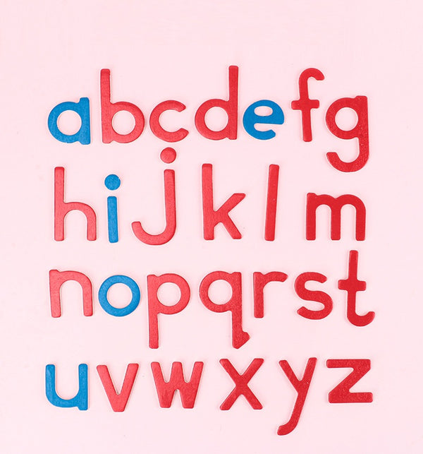 Nut Letters Wooden Letters Montessori Moveable Alphabet 26 set or Tray – HAPPY GUMNUT