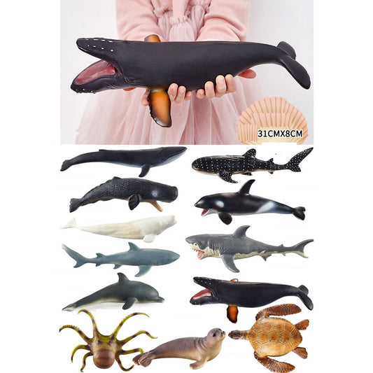 Large 12 Whales Animals Marine Ocean Mammals Big Model Figures