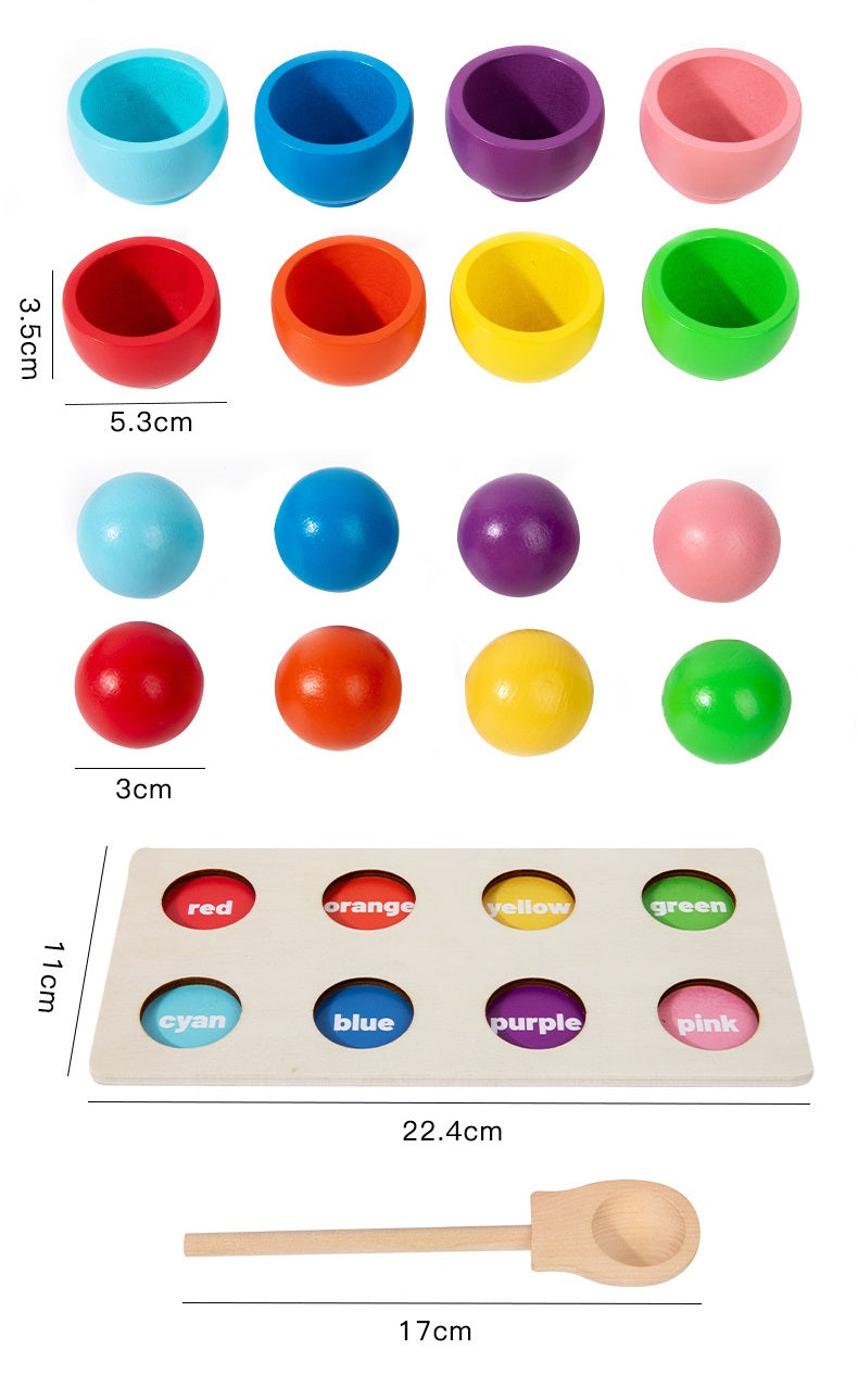 Montessori Colour Sorting Board with Ball and Cups