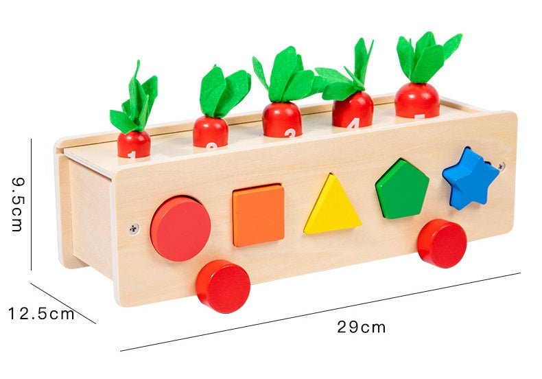 5 in 1 Classifcation Colour Shape Sorting Box Montessori inspired Kids Wooden Toy