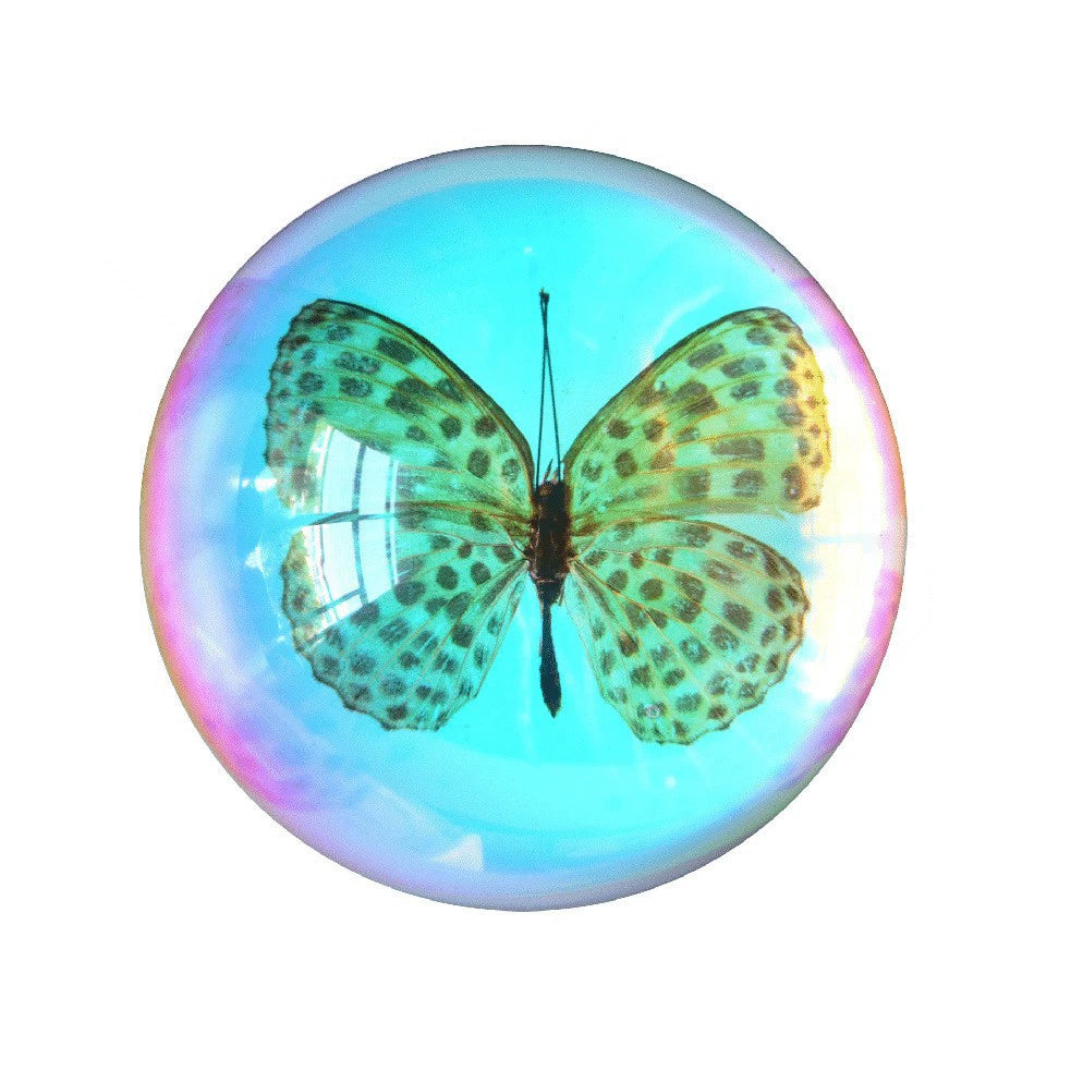 Butterfly Scorpion Spider Specimen Resin Hemisphere Domes Insects Bugs  Circular Blocks Science Toy