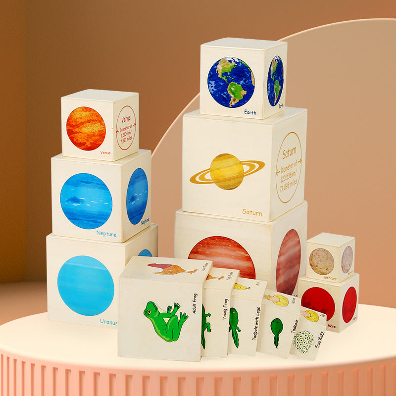 Montessori Wooden Life Cycle Activity Stacking Cube Planets Nesting Boxes - HAPPY GUMNUT