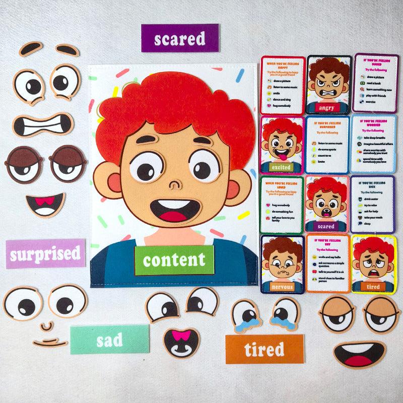 Portable Felt How are you feeling Emotions with Flash cards Life Skill Activities Learning