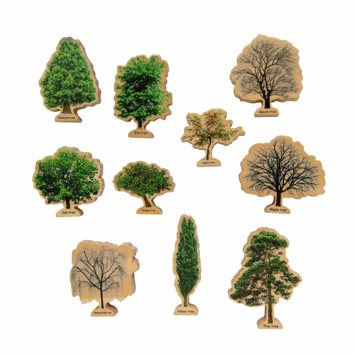 Freckled Frogs 10 Pcs Wooden Tree and Seasons Double-Sided Kids Educational Blocks Set