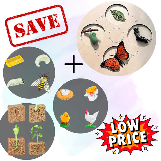 4 Set Life Cycle Board Bundle Special