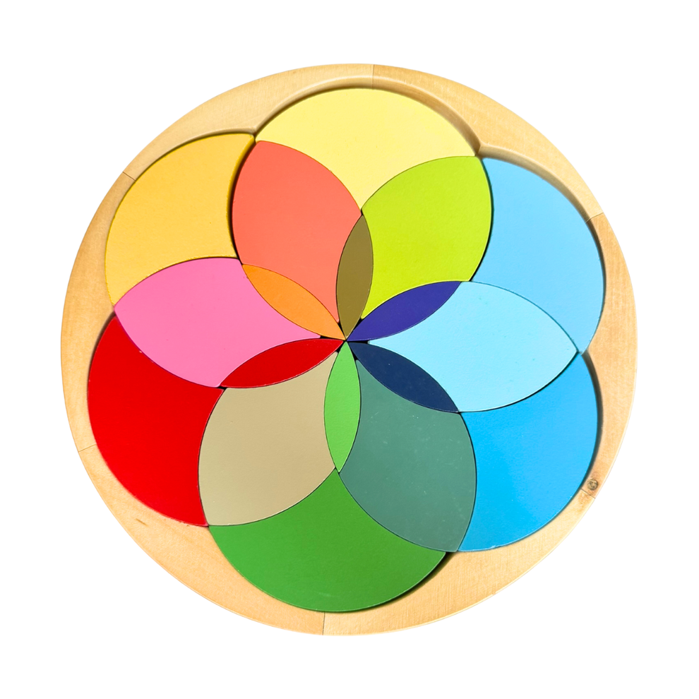 27cm Large Montessori Deluxe Primary Colours Wheel Learning Board Puzz ...
