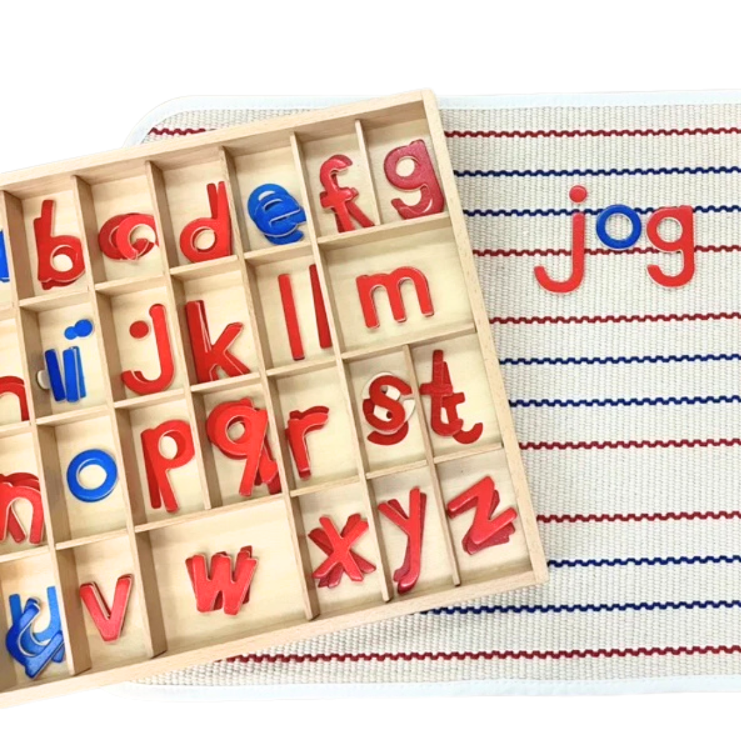 Montessori Moveable Alphabet Box 155 Alphabets included Learning Spelling Wooden Letters - HAPPY GUMNUT
