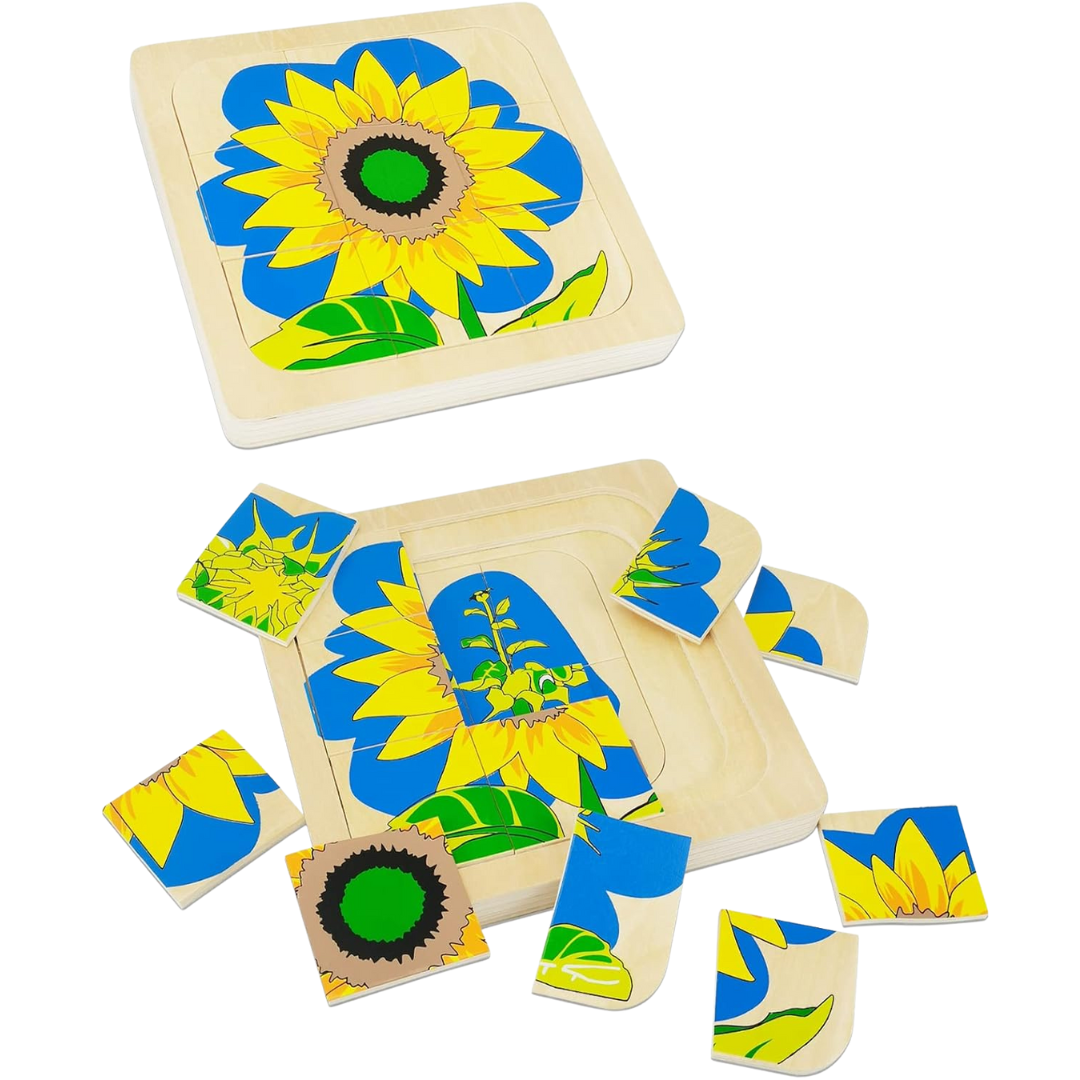 Montessori Sunflower Lifecycle Puzzle Wooden Life Cycle Learning Puzzles - HAPPY GUMNUT