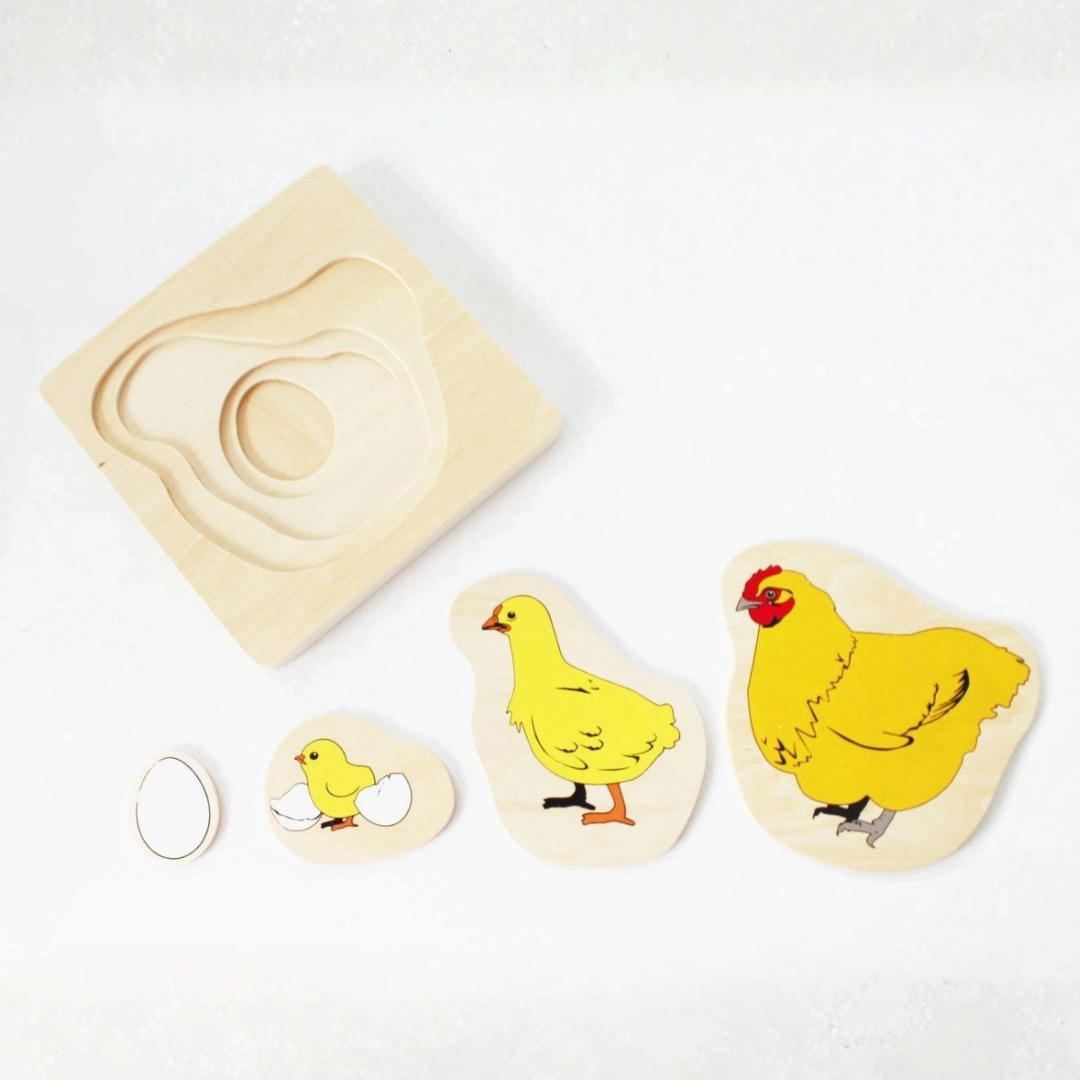 Montessori Multilayered Chicken Lifecycle Puzzle - HAPPY GUMNUT