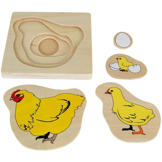 Montessori Multilayered Chicken Lifecycle Puzzle - HAPPY GUMNUT